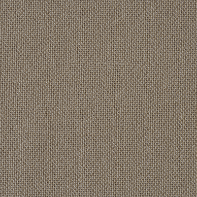 Colour 7